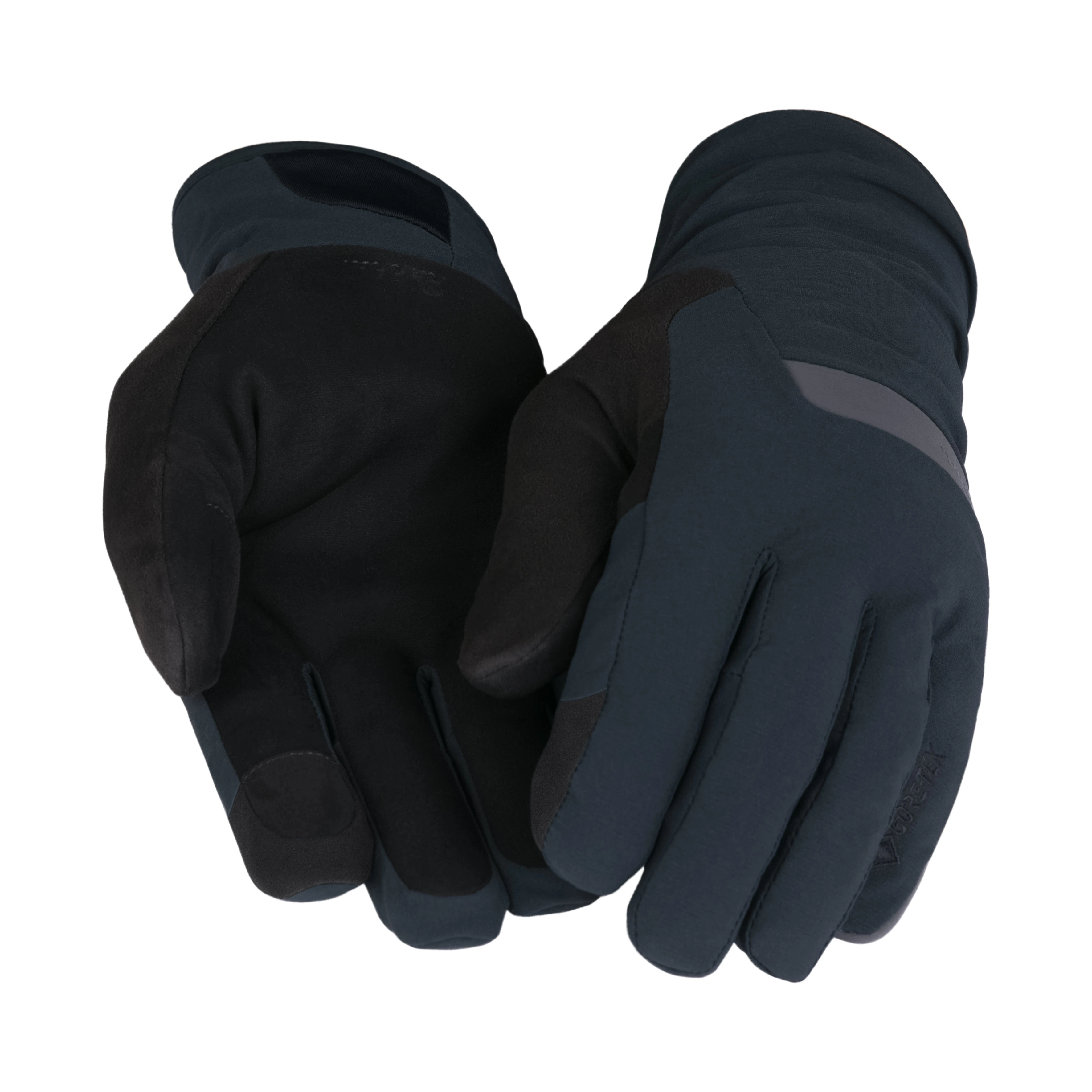 GORE-TEX Insulated Waterproof Gloves
