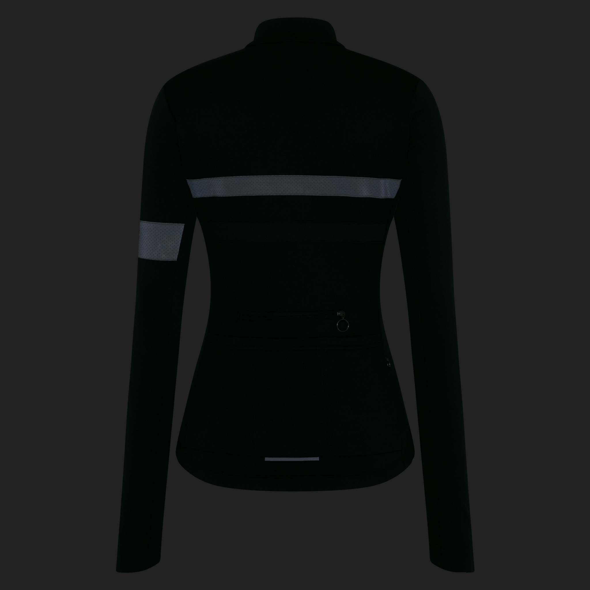 Women's Brevet Long Sleeve Jersey
