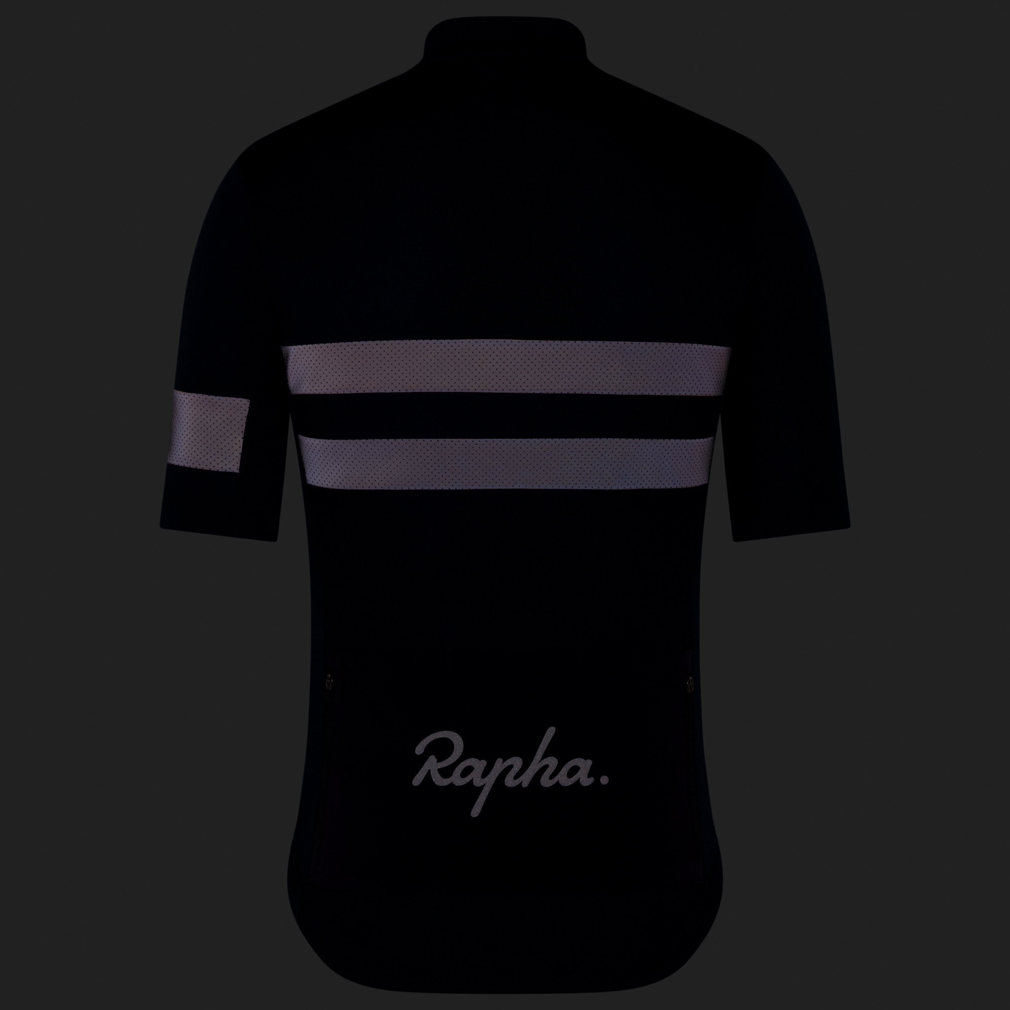 Men's Brevet Jersey